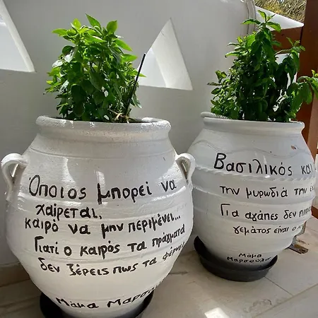 Zisis Pensjonat *