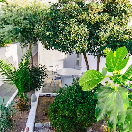 Zisis Guest house *