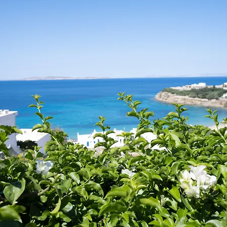 Πανσιόν Zisis